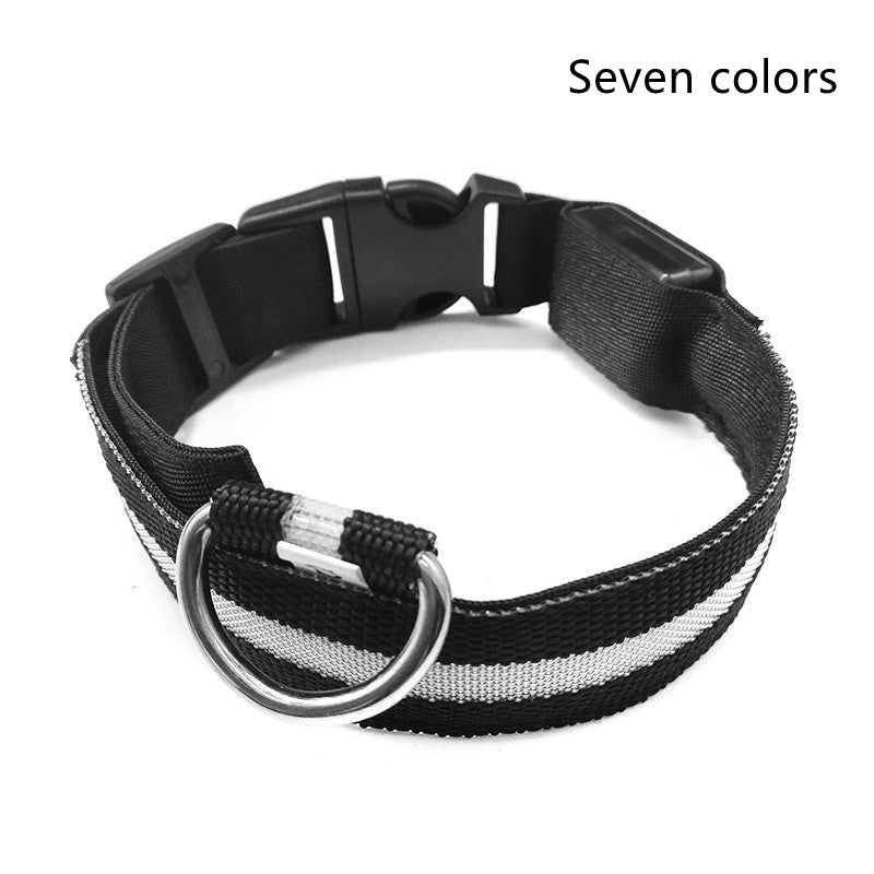 LED Glow Dog Collar