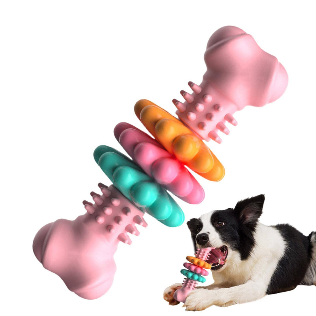 Bone Dog Chew Toy