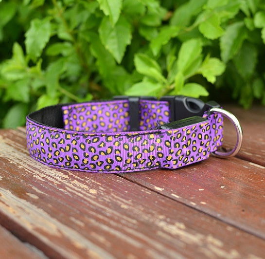 LED Leopard Print Dog Collar