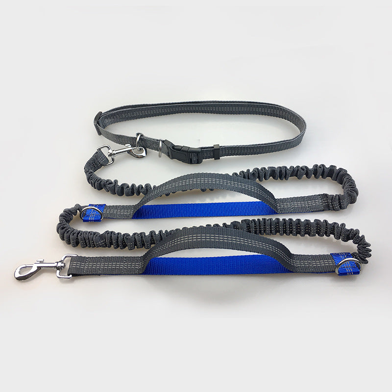 Hands Free Dog Leash
