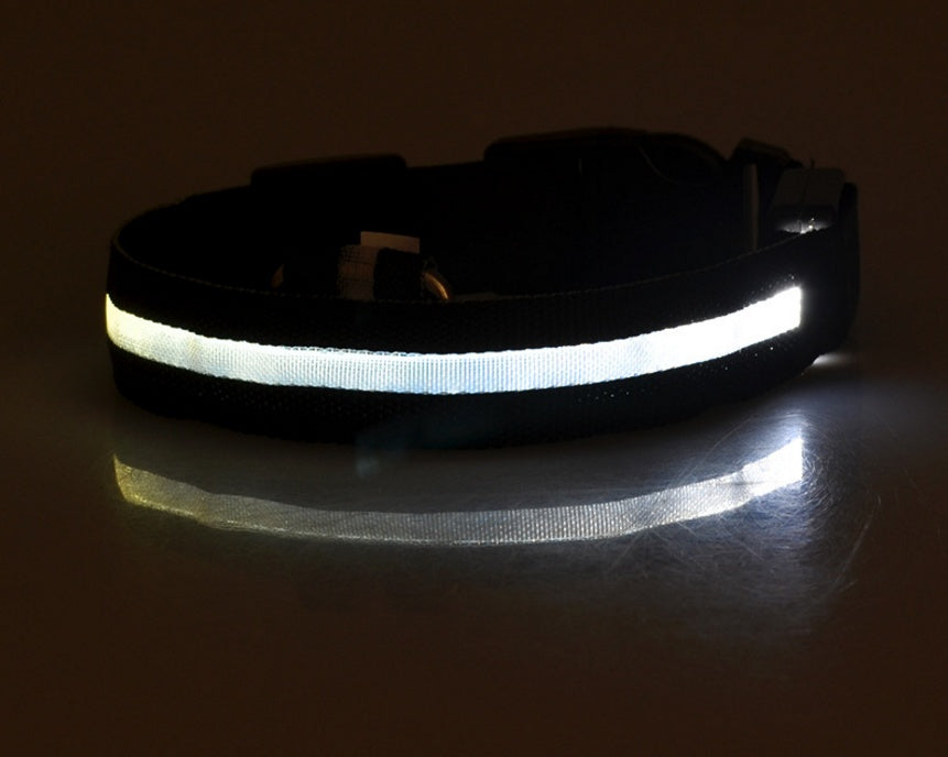 LED Glow Dog Collar