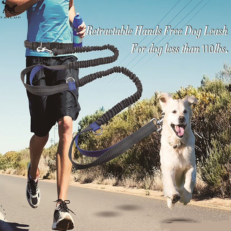 Hands Free Dog Leash