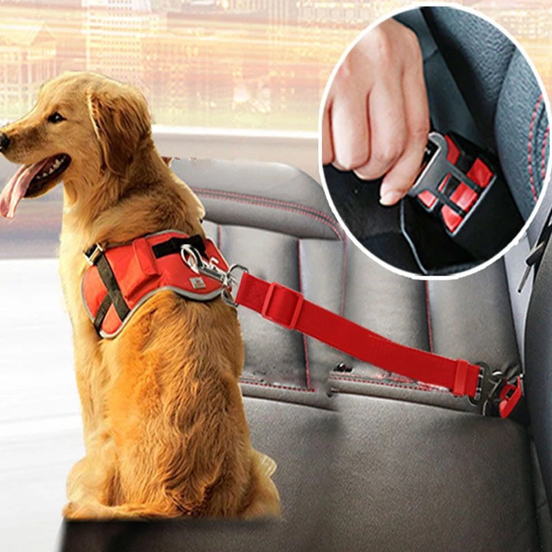 Pet Car Seat Belt Clip
