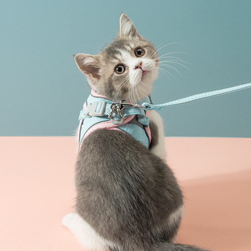 Cat Harness
