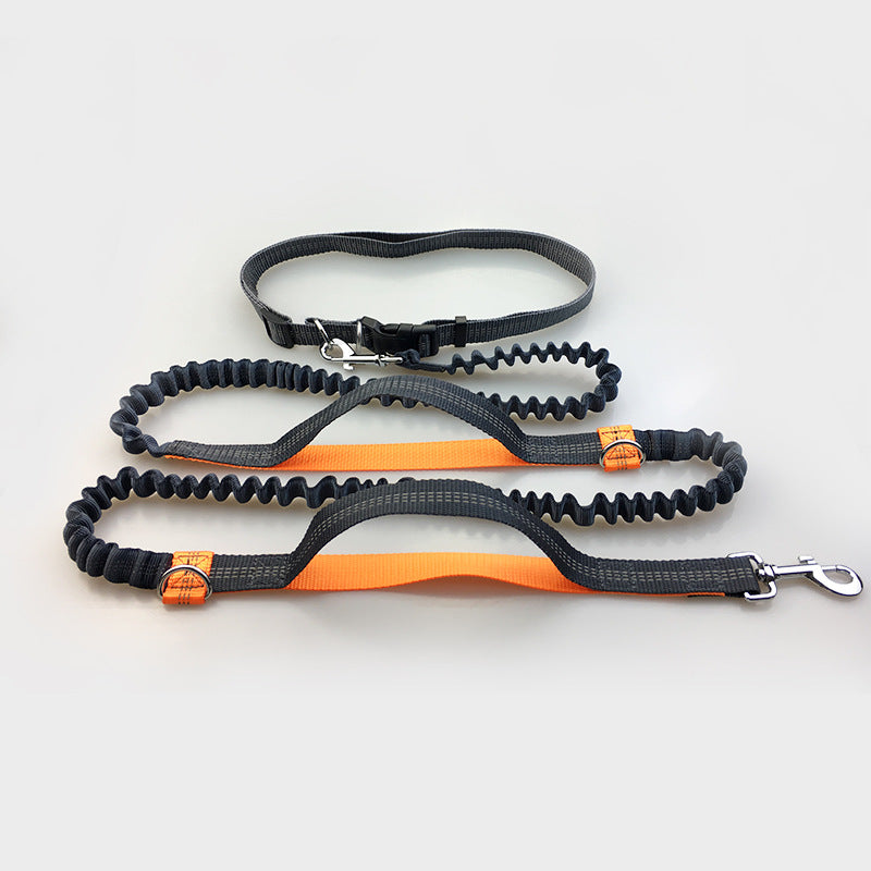 Hands Free Dog Leash
