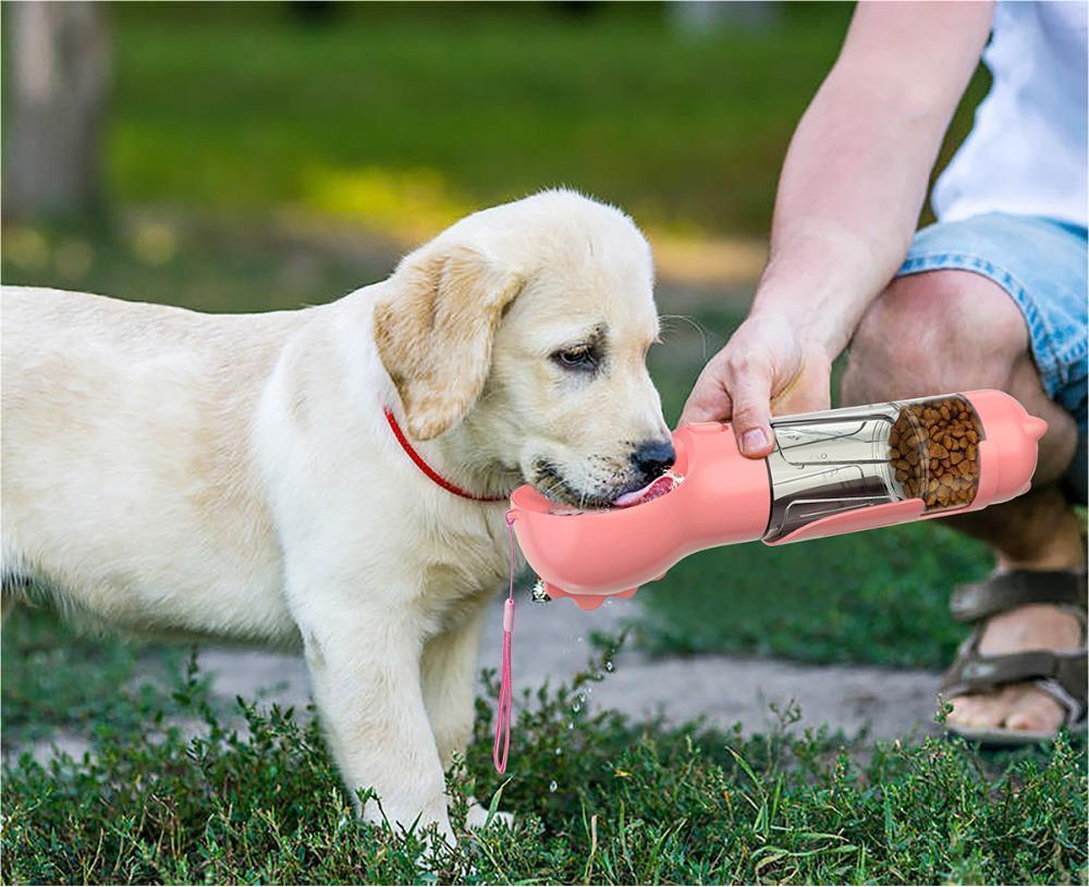 3-in-1 Multi-Functional Dog Cup