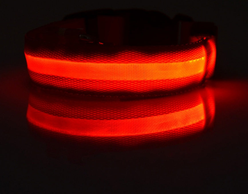 LED Glow Dog Collar