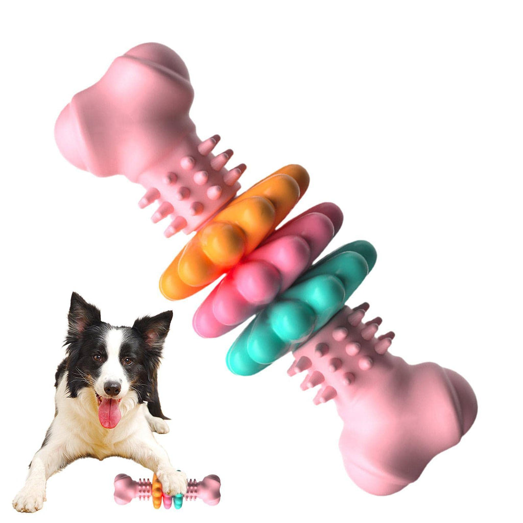 Bone Dog Chew Toy