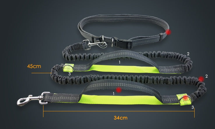 Hands Free Dog Leash
