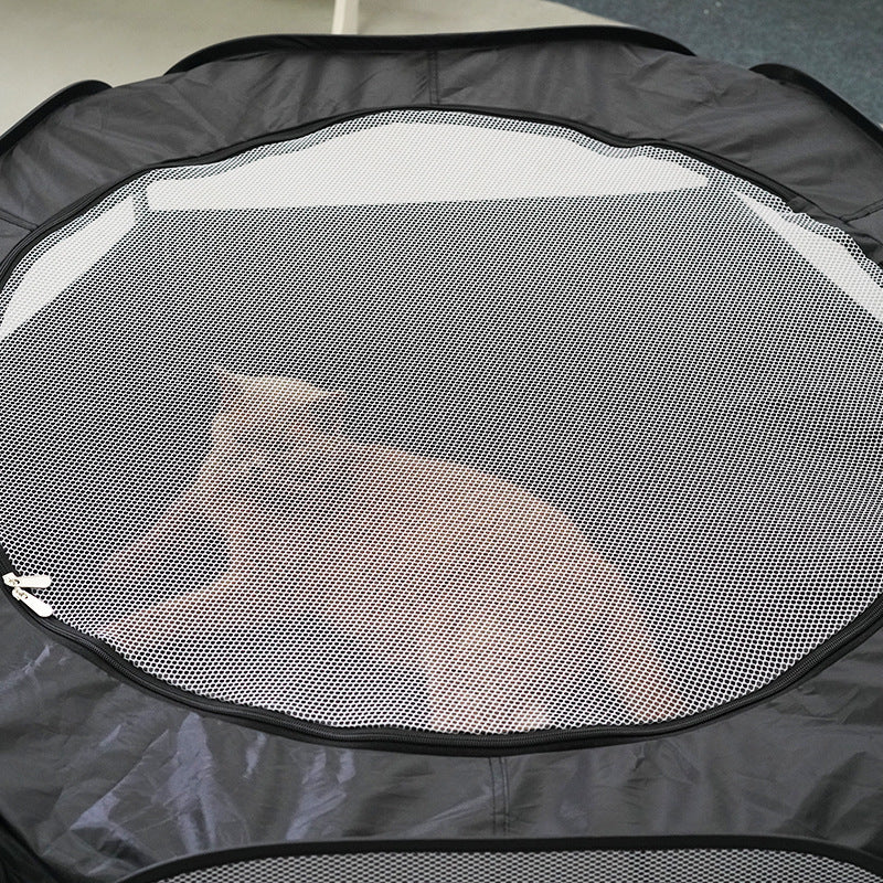 Cat Tunnel