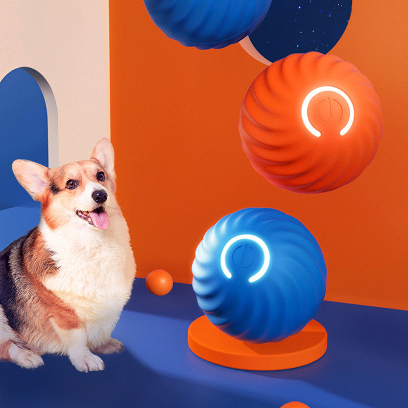 Rubber Dog Chew Toy