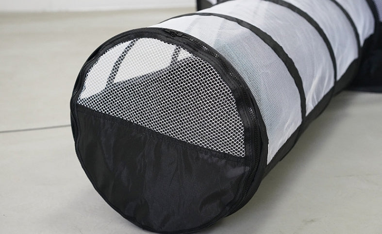 Cat Tunnel