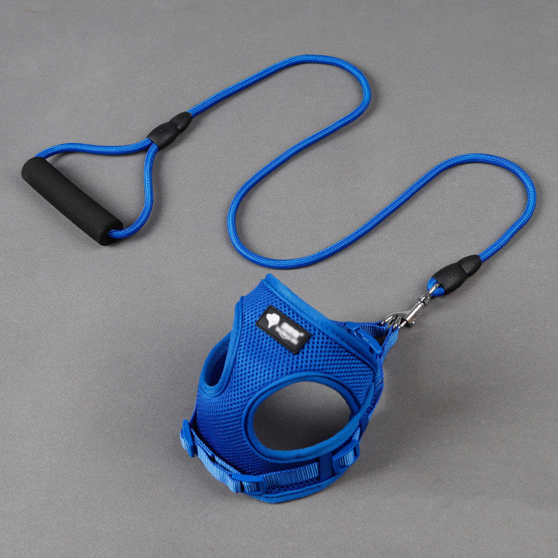 Dog Leash & Collar Set