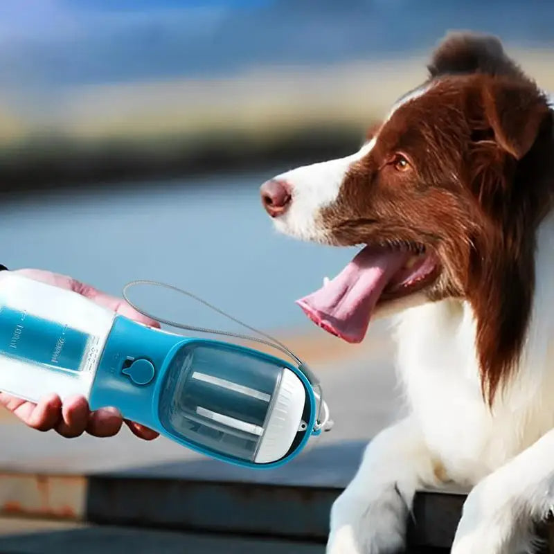 3-in-1 Multi-Functional Dog Cup