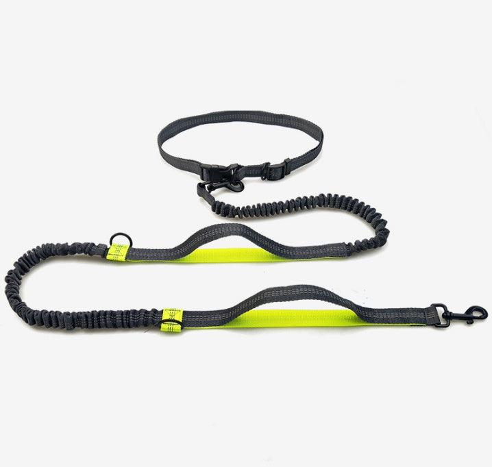 Hands Free Dog Leash