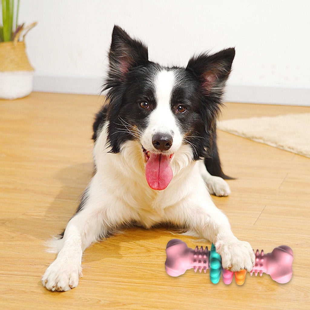 Bone Dog Chew Toy