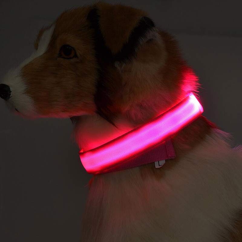 LED Glow Dog Collar