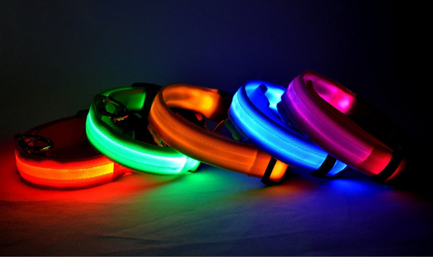 LED Glow Dog Collar