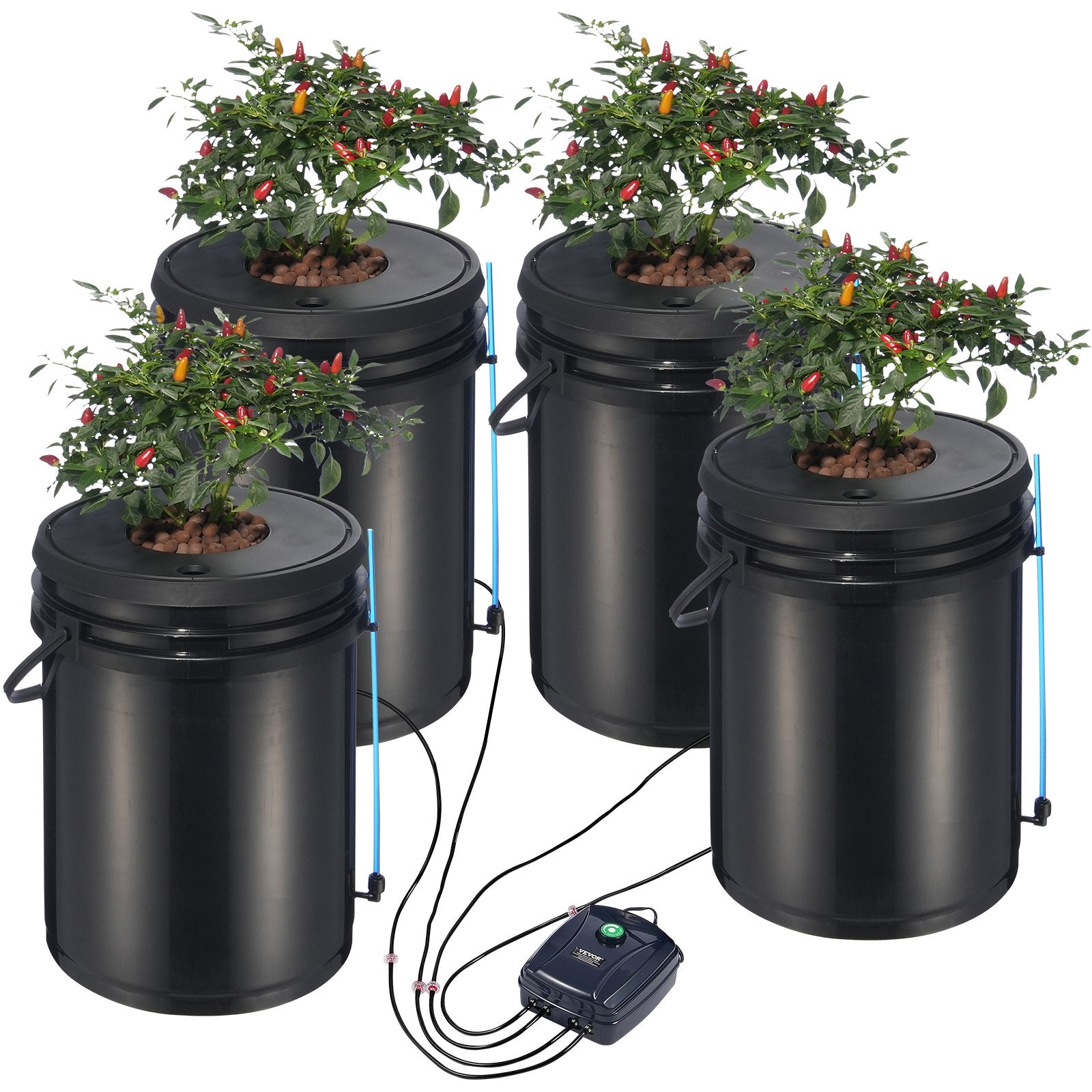 DWC Hydroponic System