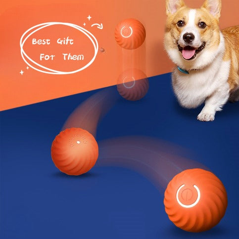 Rubber Dog Chew Toy