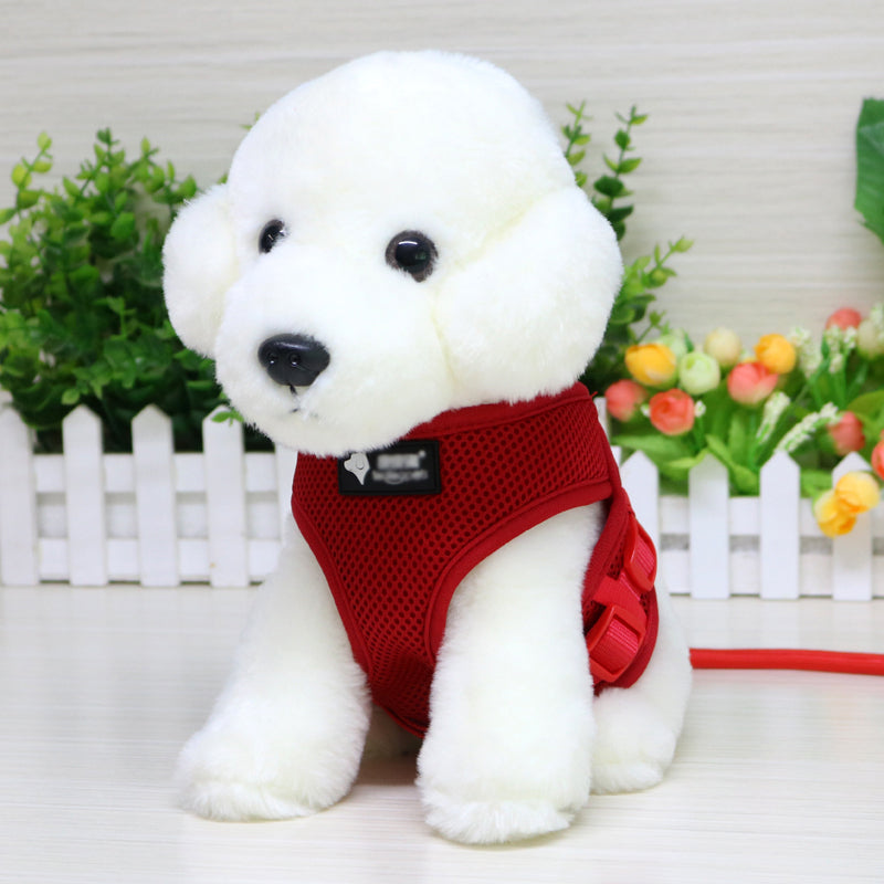 Dog Leash & Collar Set