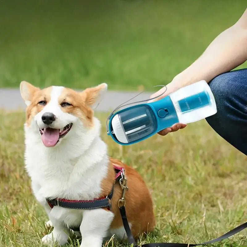 3-in-1 Multi-Functional Dog Cup