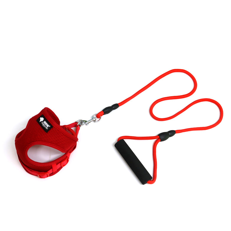 Dog Leash & Collar Set