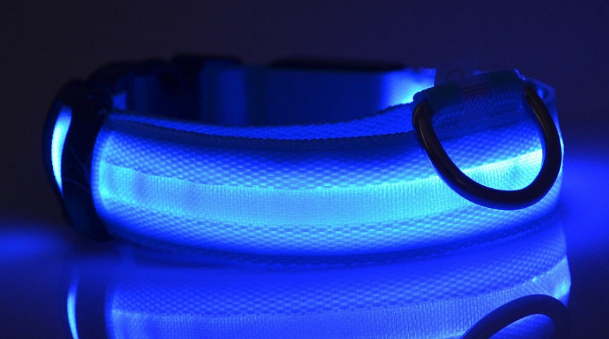 LED Glow Dog Collar