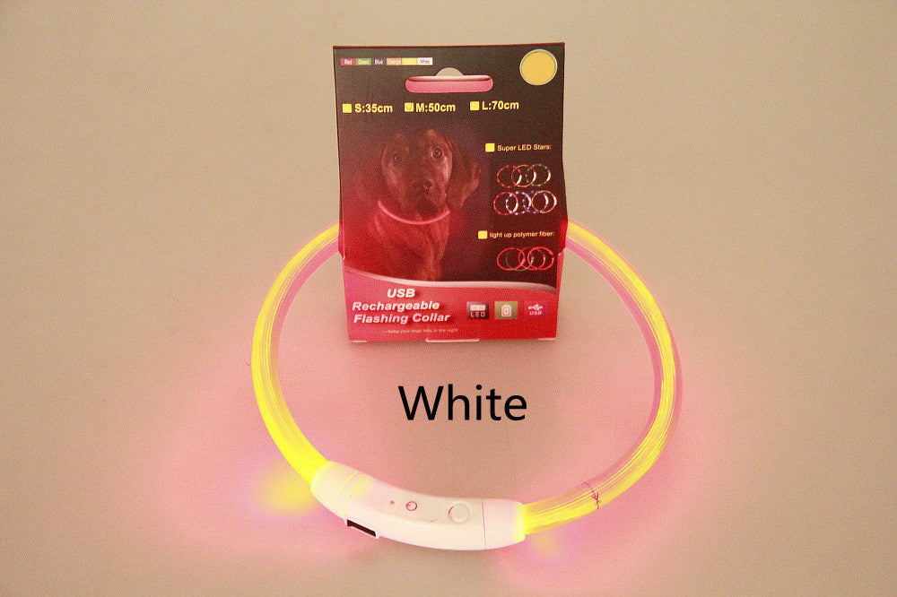 Light Up Dog Collar