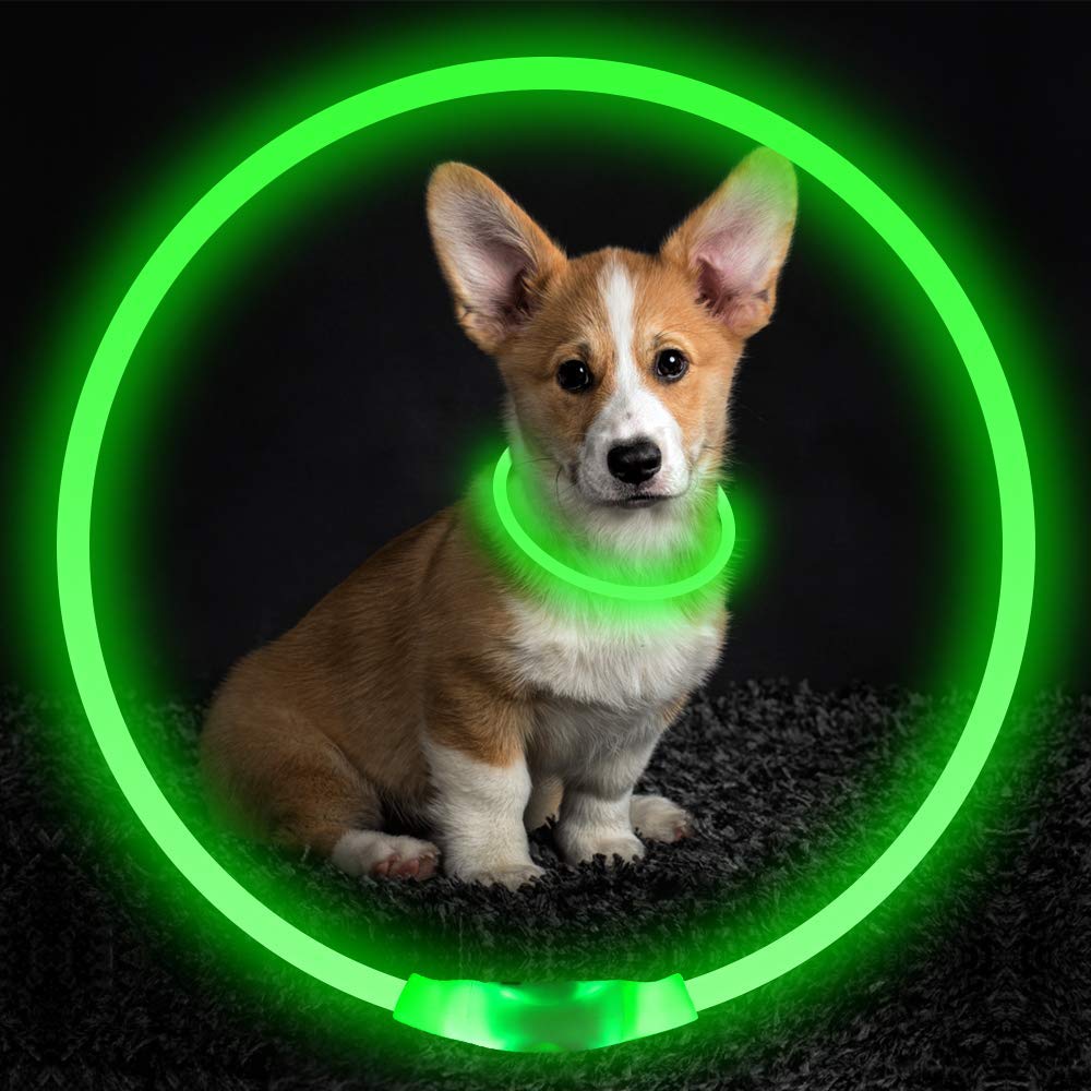 Light Up Dog Collar