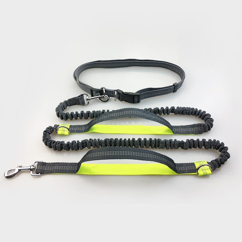 Hands Free Dog Leash