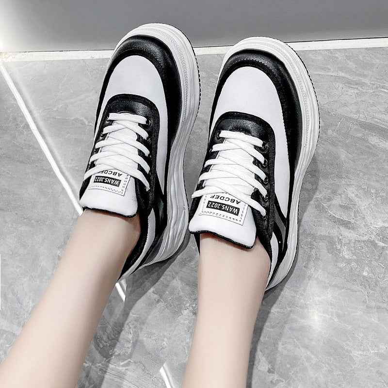 Korean Style Shoes