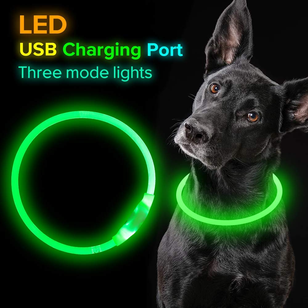 Light Up Dog Collar