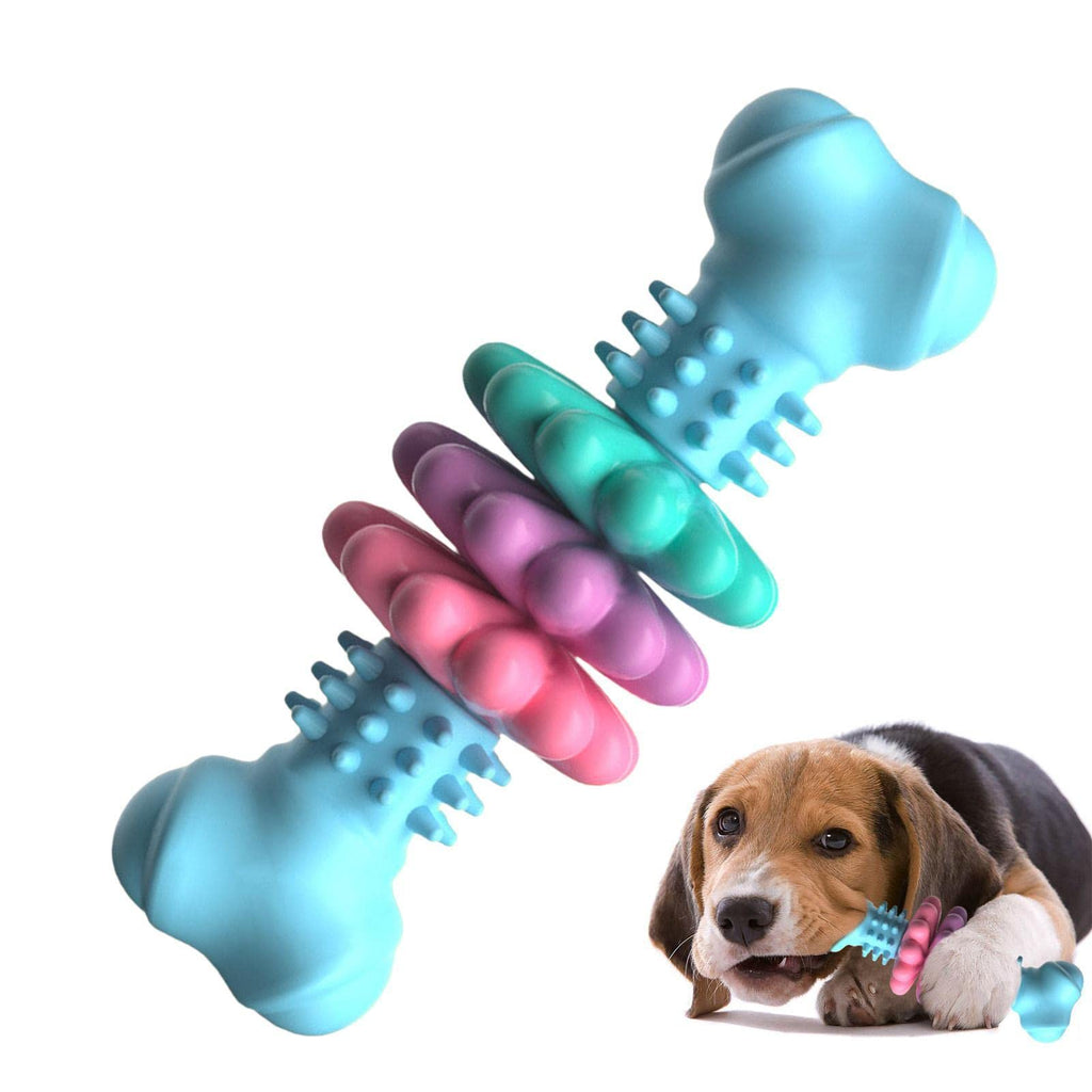Bone Dog Chew Toy