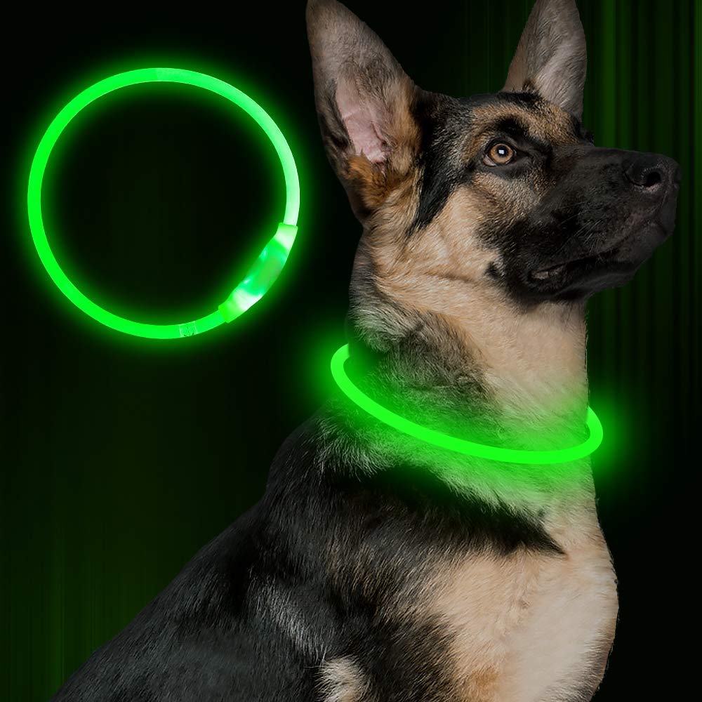 Light Up Dog Collar