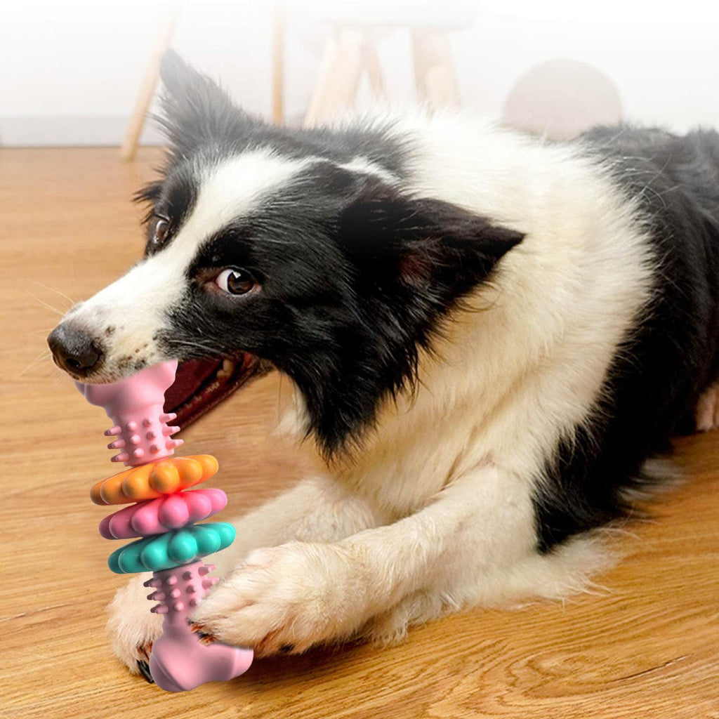 Bone Dog Chew Toy