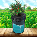 DWC Hydroponic System