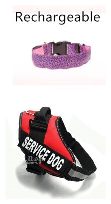 LED Leopard Print Dog Collar