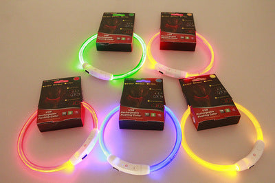 Light Up Dog Collar