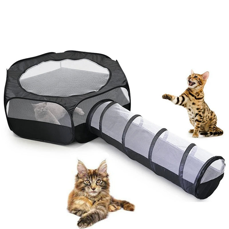 Cat Tunnel