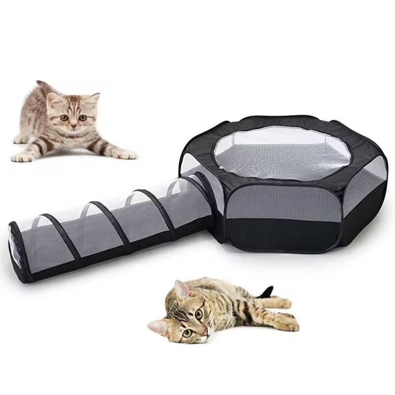 Cat Tunnel