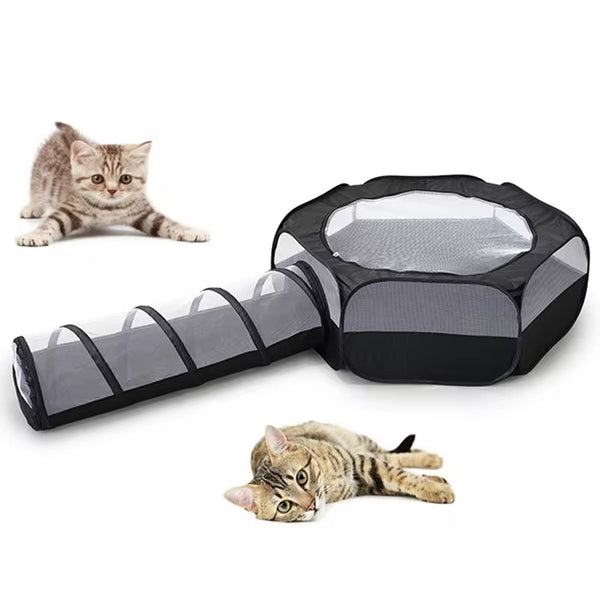 Cat Tunnel