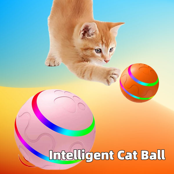 Electronic Cat Ball